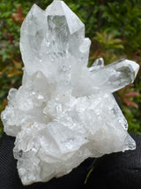 Clear Quartz - 96g