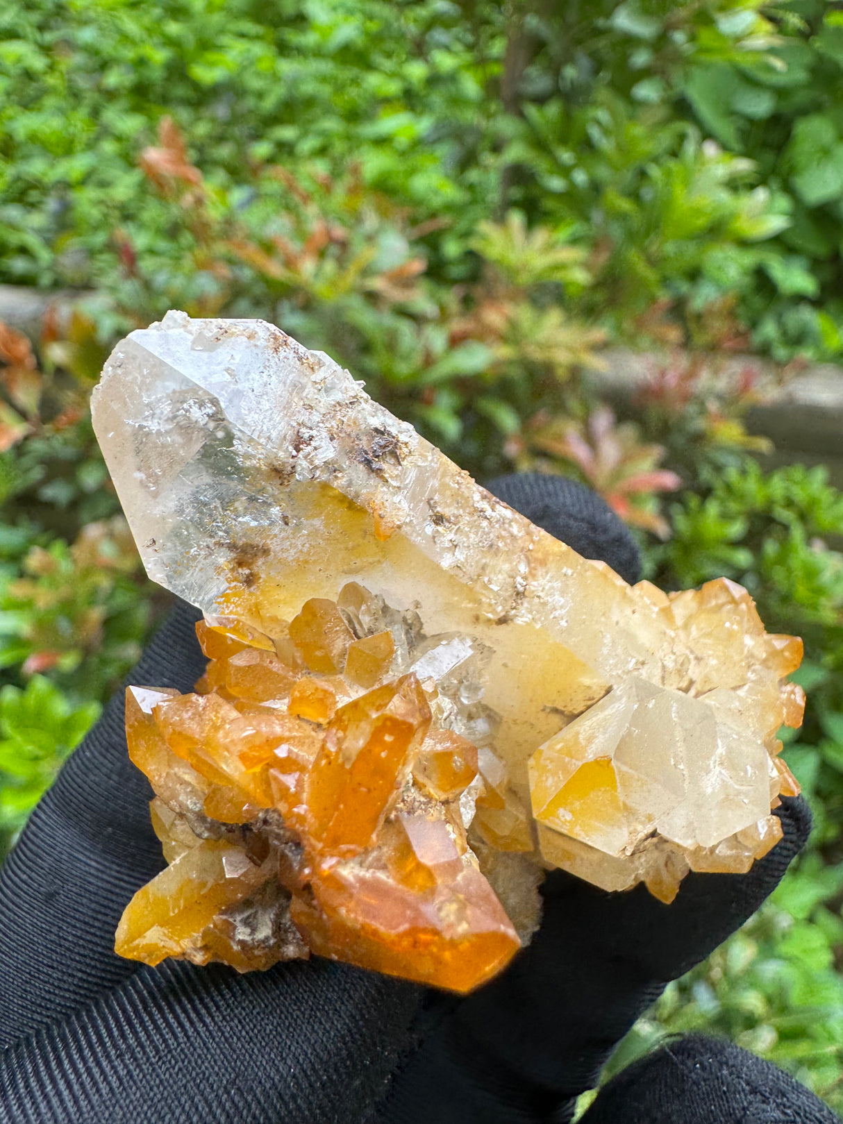 Iron Stained Quartz Specimen - 68g