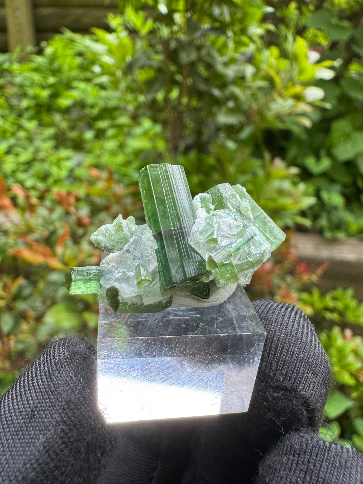 Tourmaline Specimen - 14g