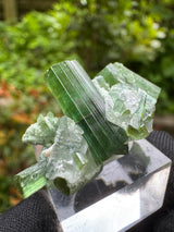 Tourmaline Specimen - 14g