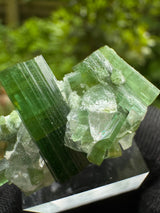 Tourmaline Specimen - 14g