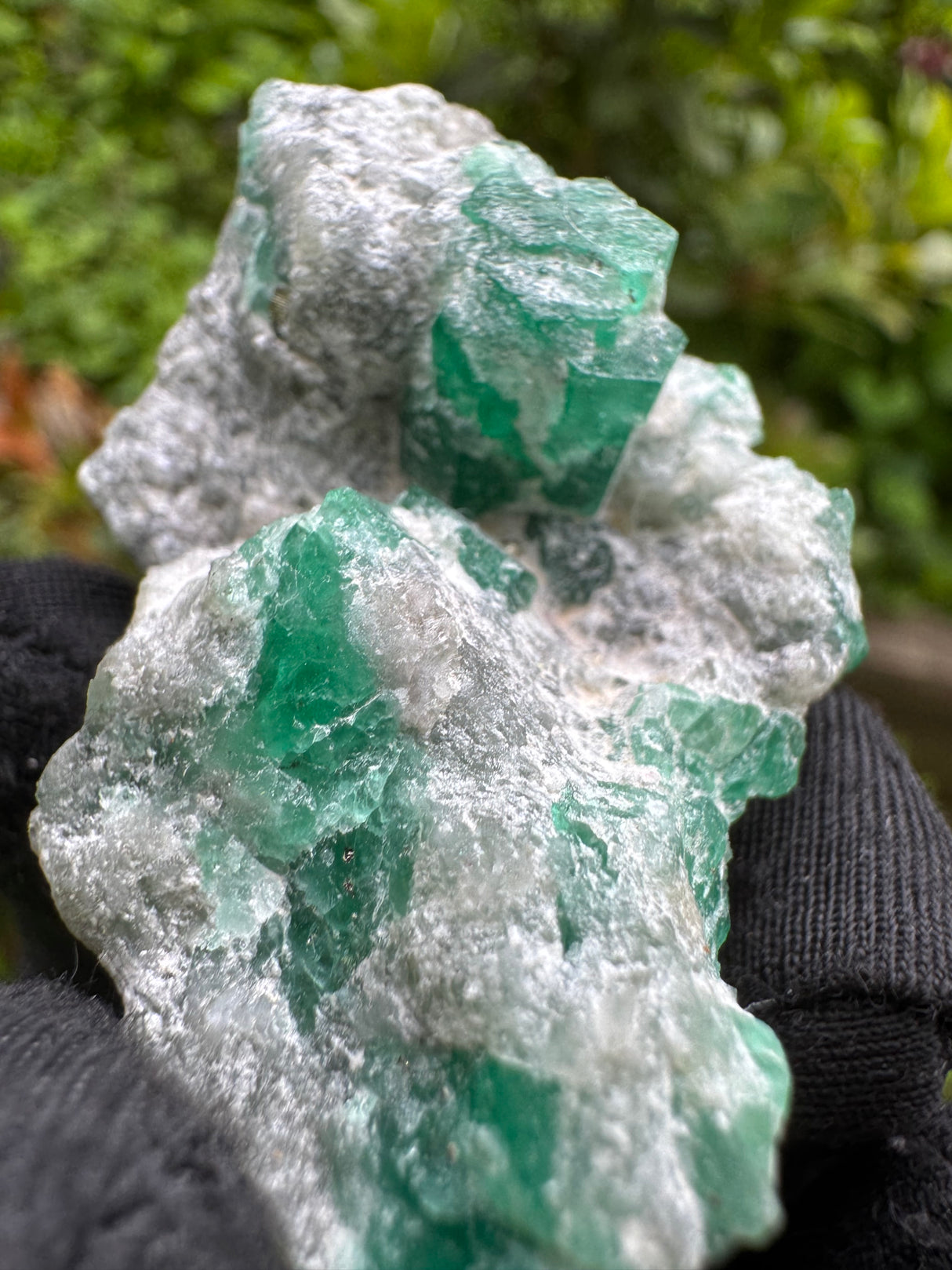 Emerald Specimen - 26g