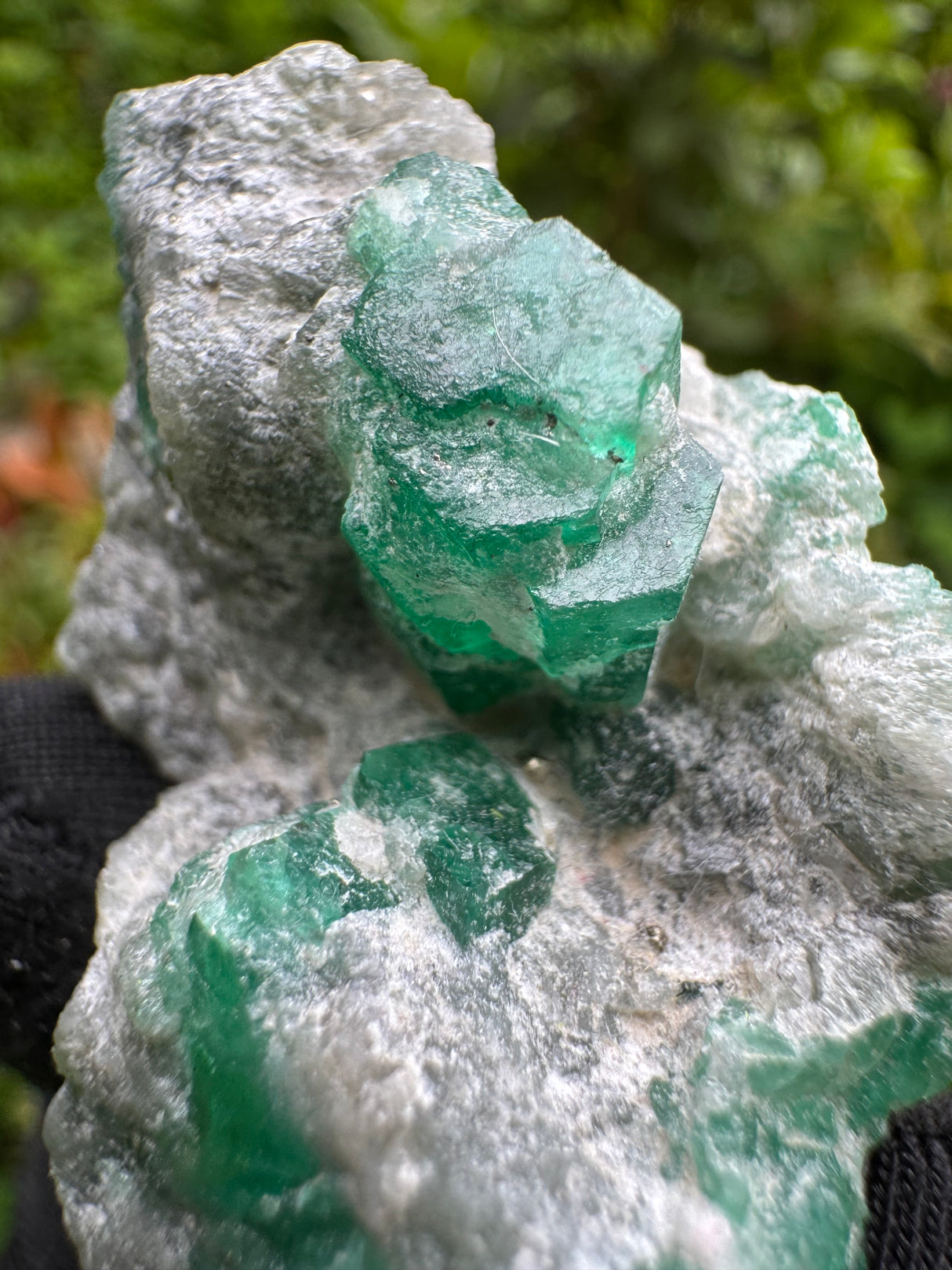 Emerald Specimen - 26g