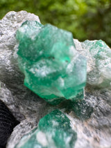 Emerald Specimen - 26g