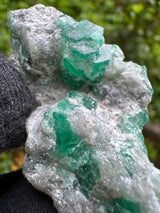 Emerald Specimen - 26g