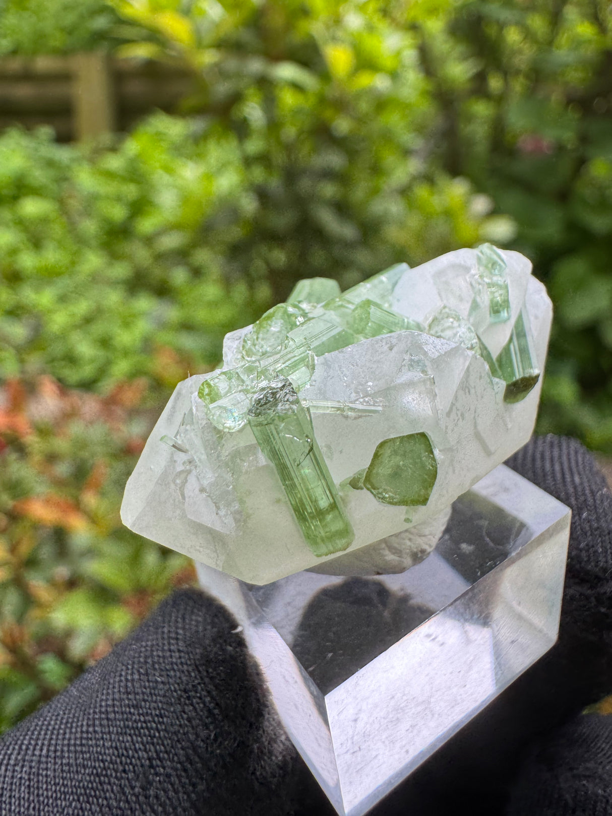 Tourmaline Specimen - 19g