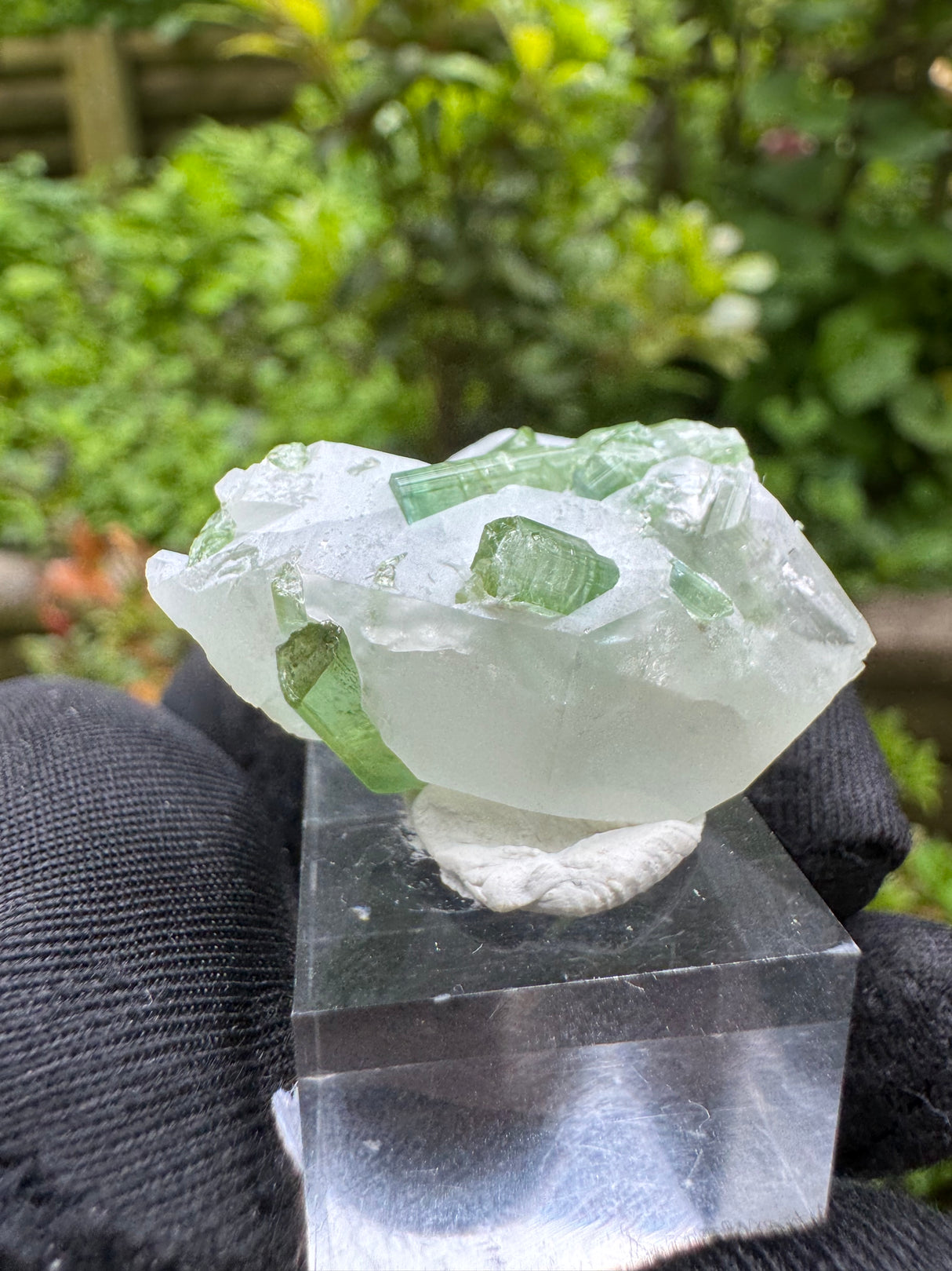 Tourmaline Specimen - 19g