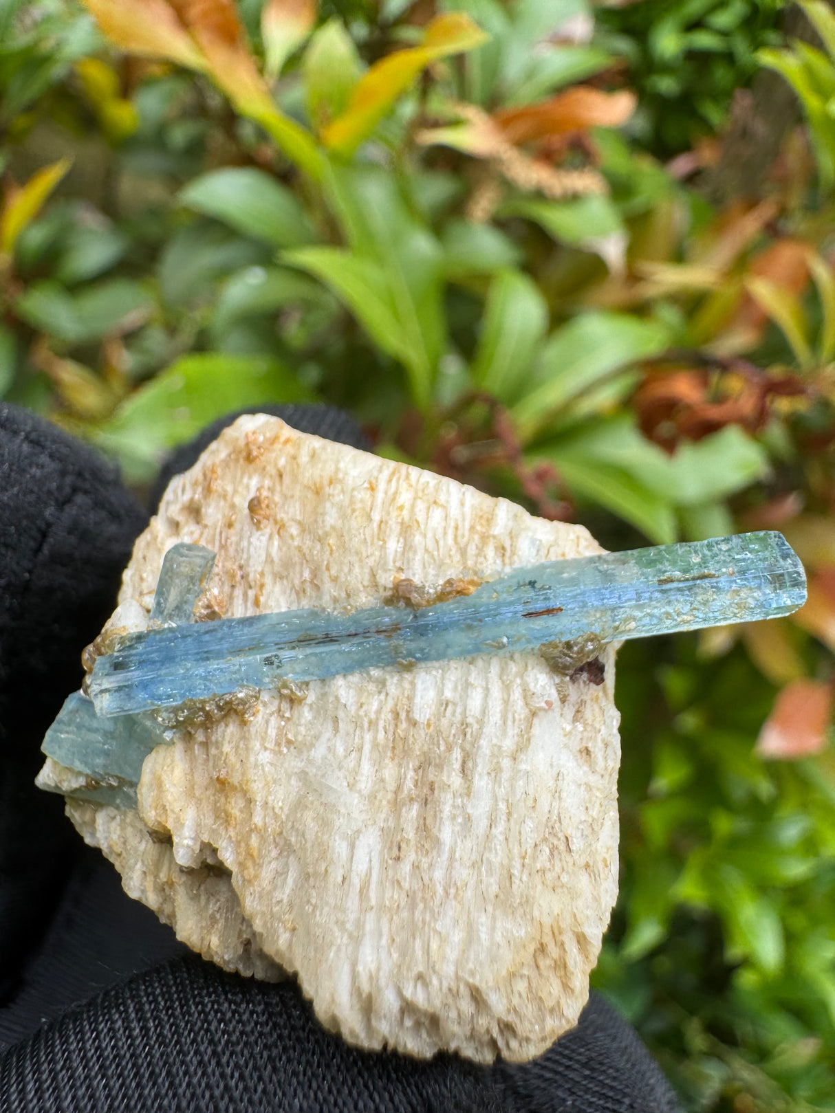 Aquamarine Specimen - 21g