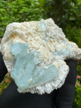 Aquamarine Specimen - 260g