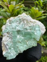 Green Tourmaline Crystal Specimen - 32g