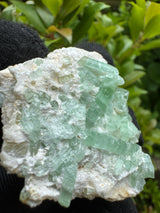 Green Tourmaline Crystal Specimen - 32g