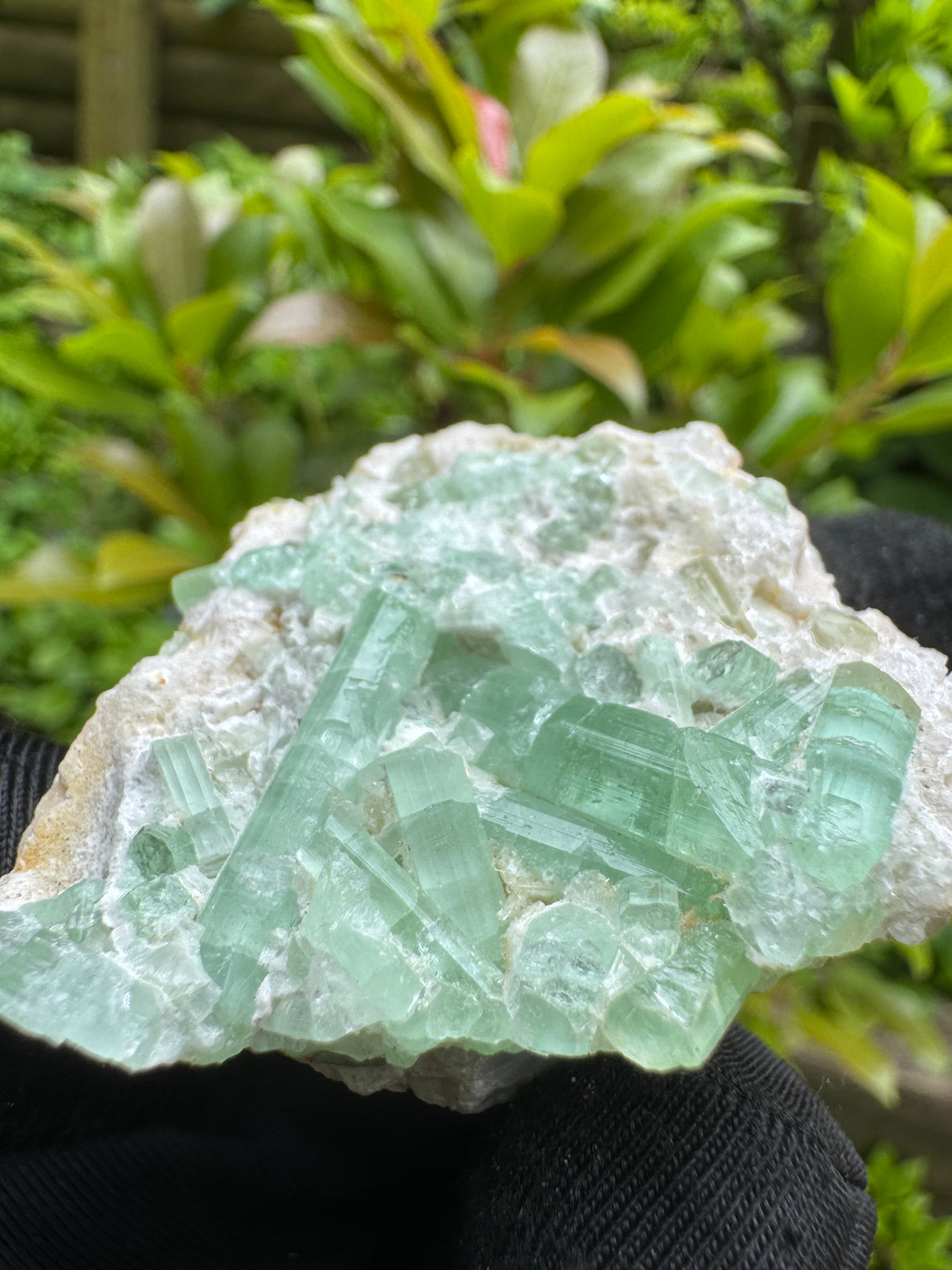 Green Tourmaline Crystal Specimen - 32g