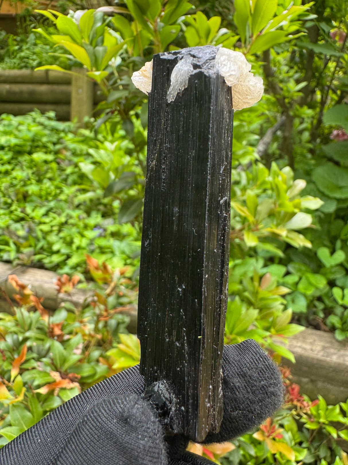 Black Tourmaline Specimen - 59g