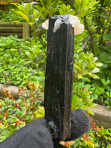 Black Tourmaline Specimen - 59g