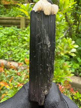 Black Tourmaline Specimen - 59g