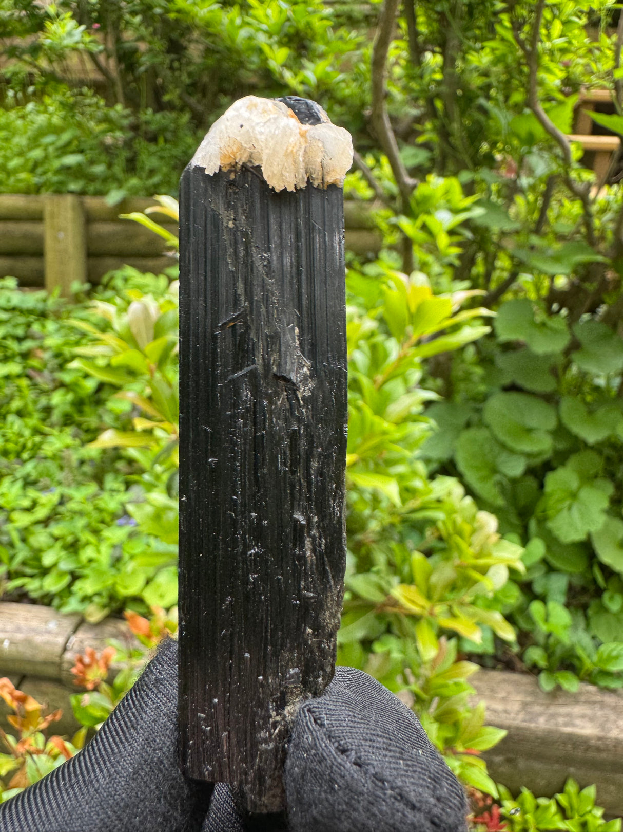 Black Tourmaline Specimen - 59g