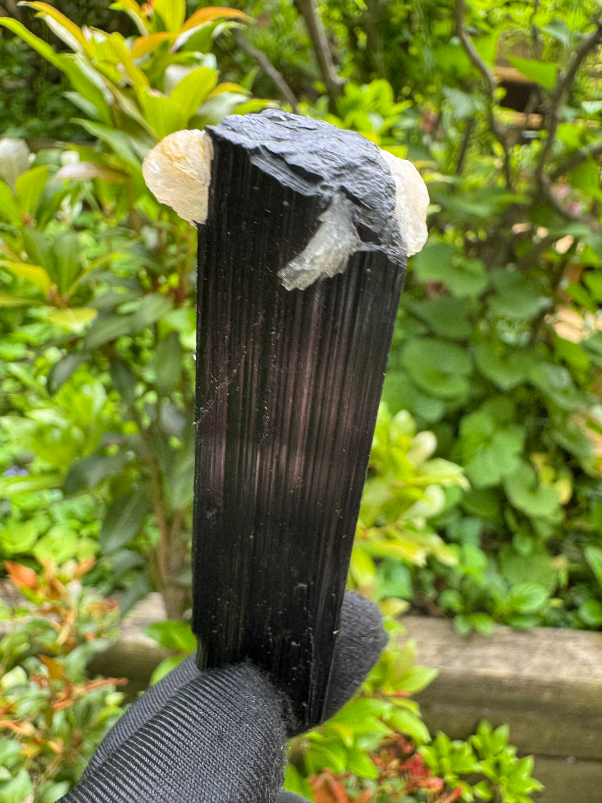 Black Tourmaline Specimen - 59g