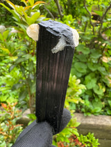 Black Tourmaline Specimen - 59g