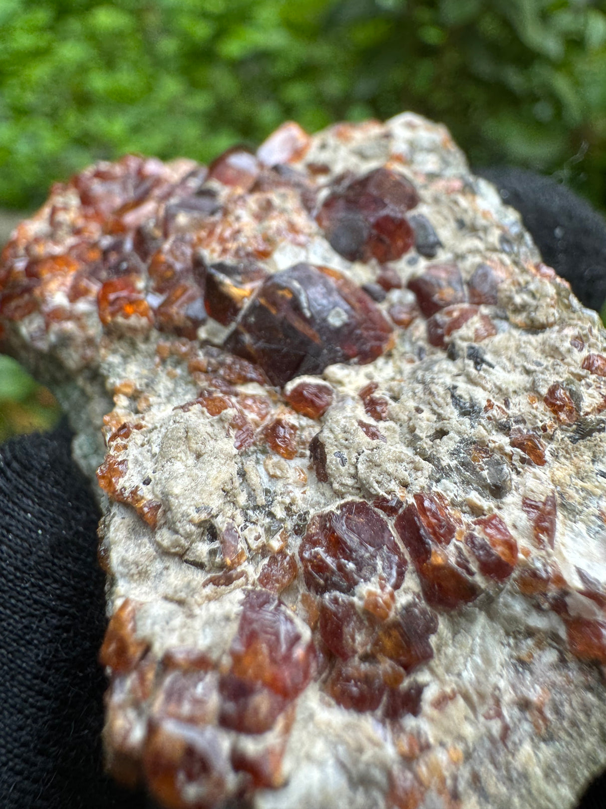 Garnet Specimen - 55g