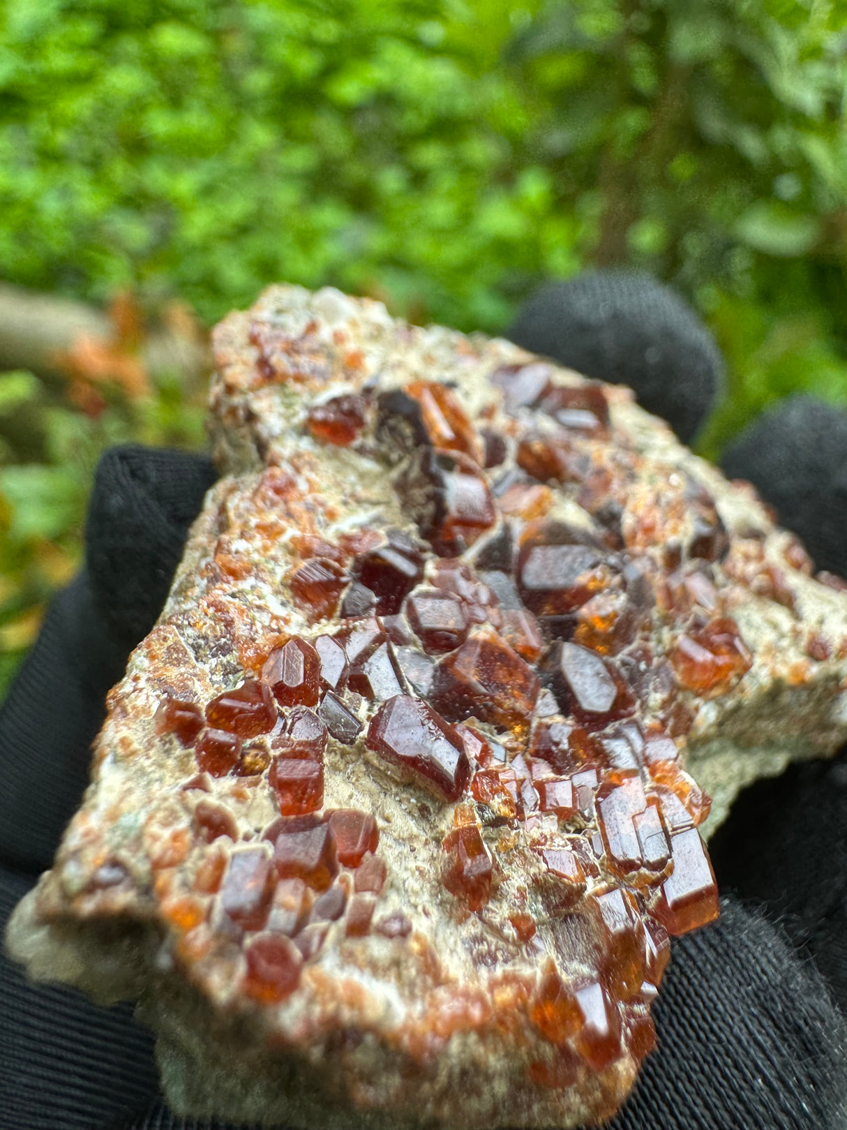 Garnet Specimen - 55g