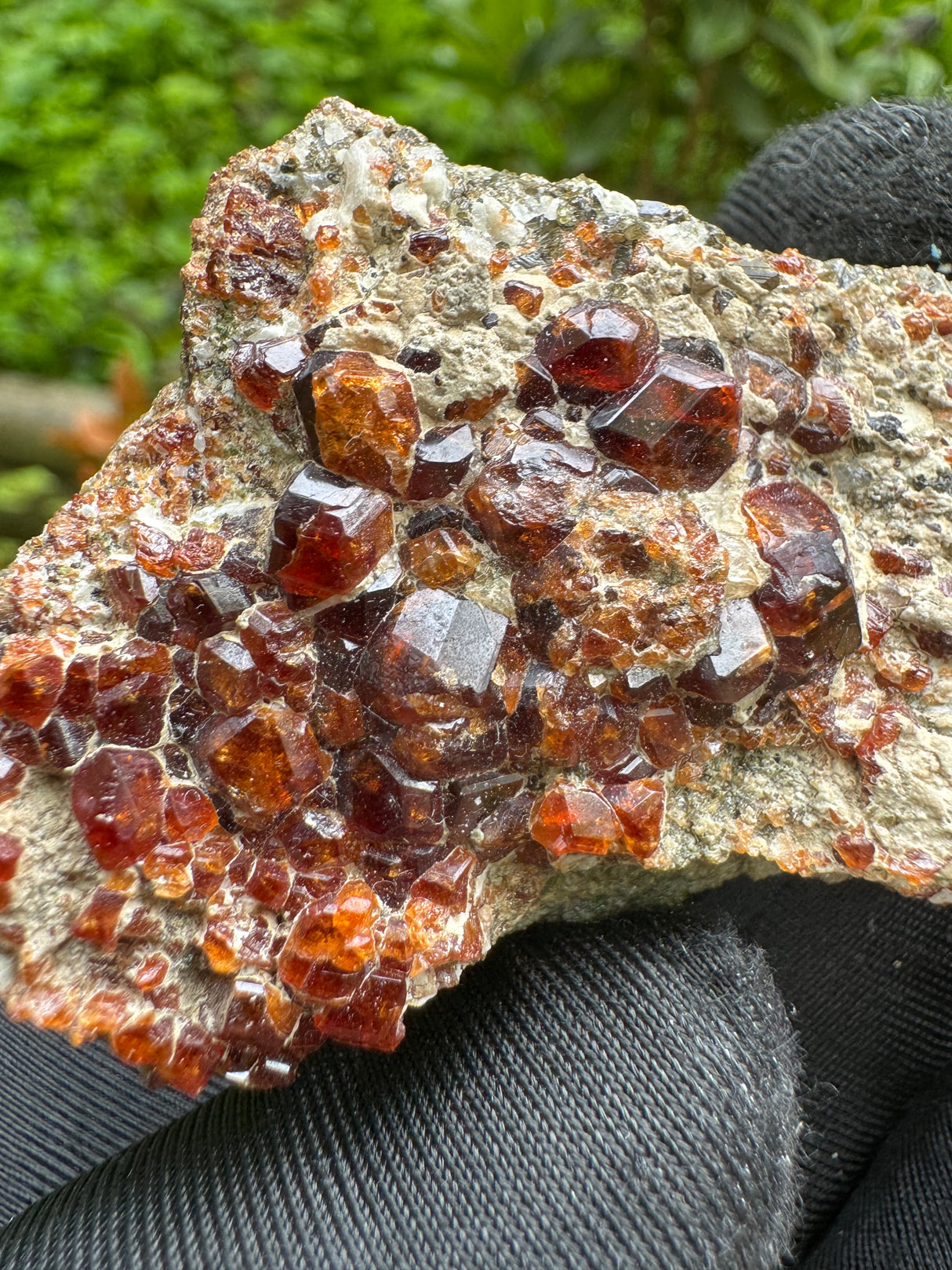 Garnet Specimen - 55g