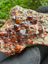 Garnet Specimen - 55g