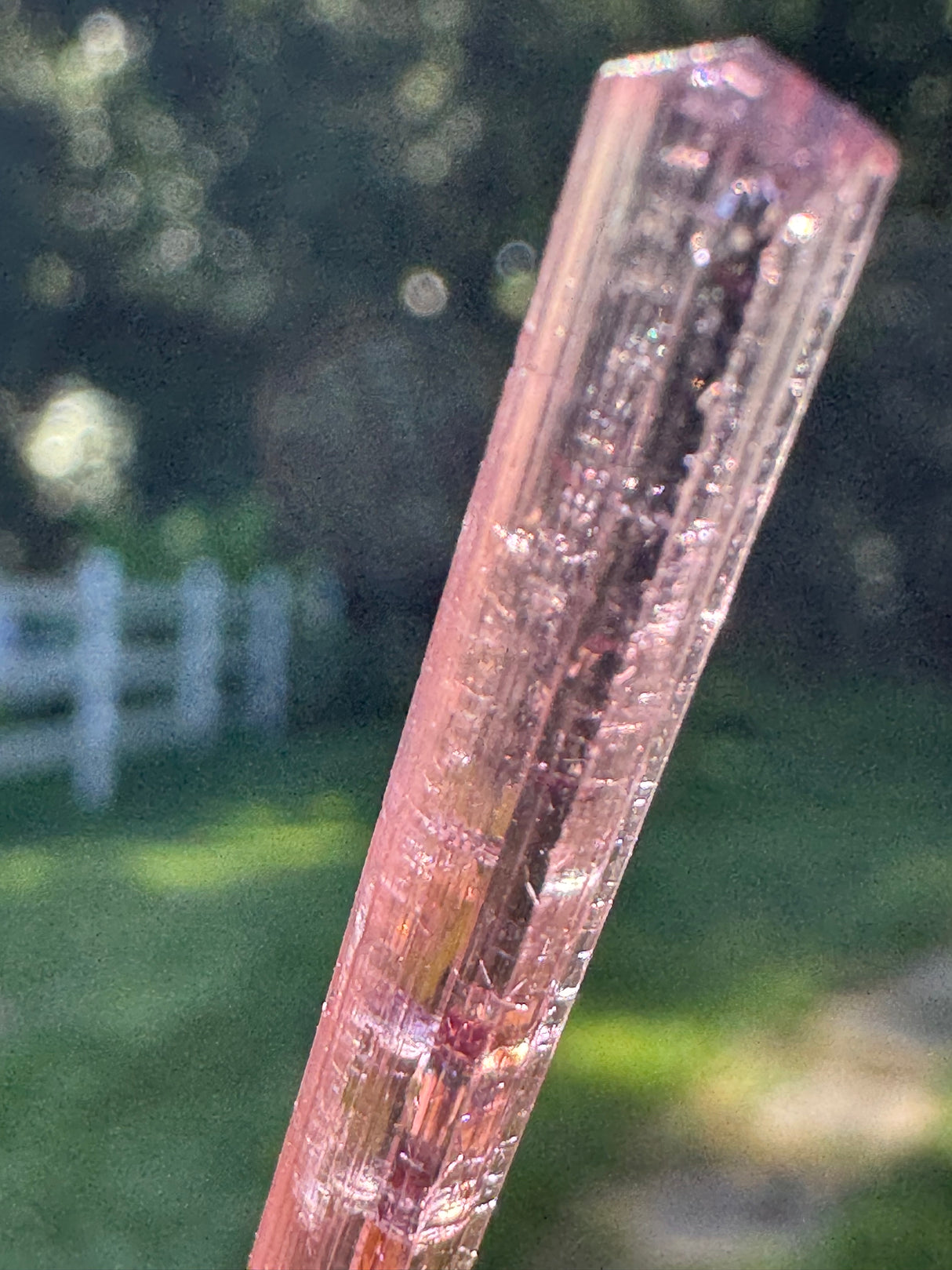 Tourmaline Crystal - 1.973g