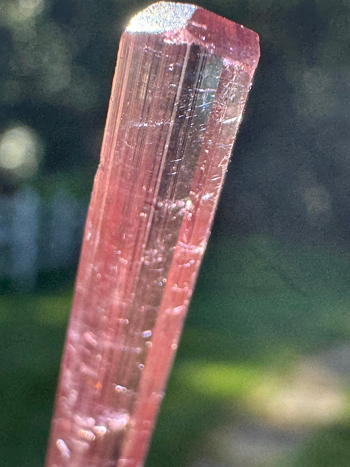 Tourmaline Crystal - 1.973g