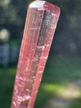 Tourmaline Crystal - 1.973g