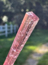 Tourmaline Crystal - 1.973g