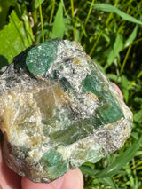 Zambian Emerald Specimen - 233g