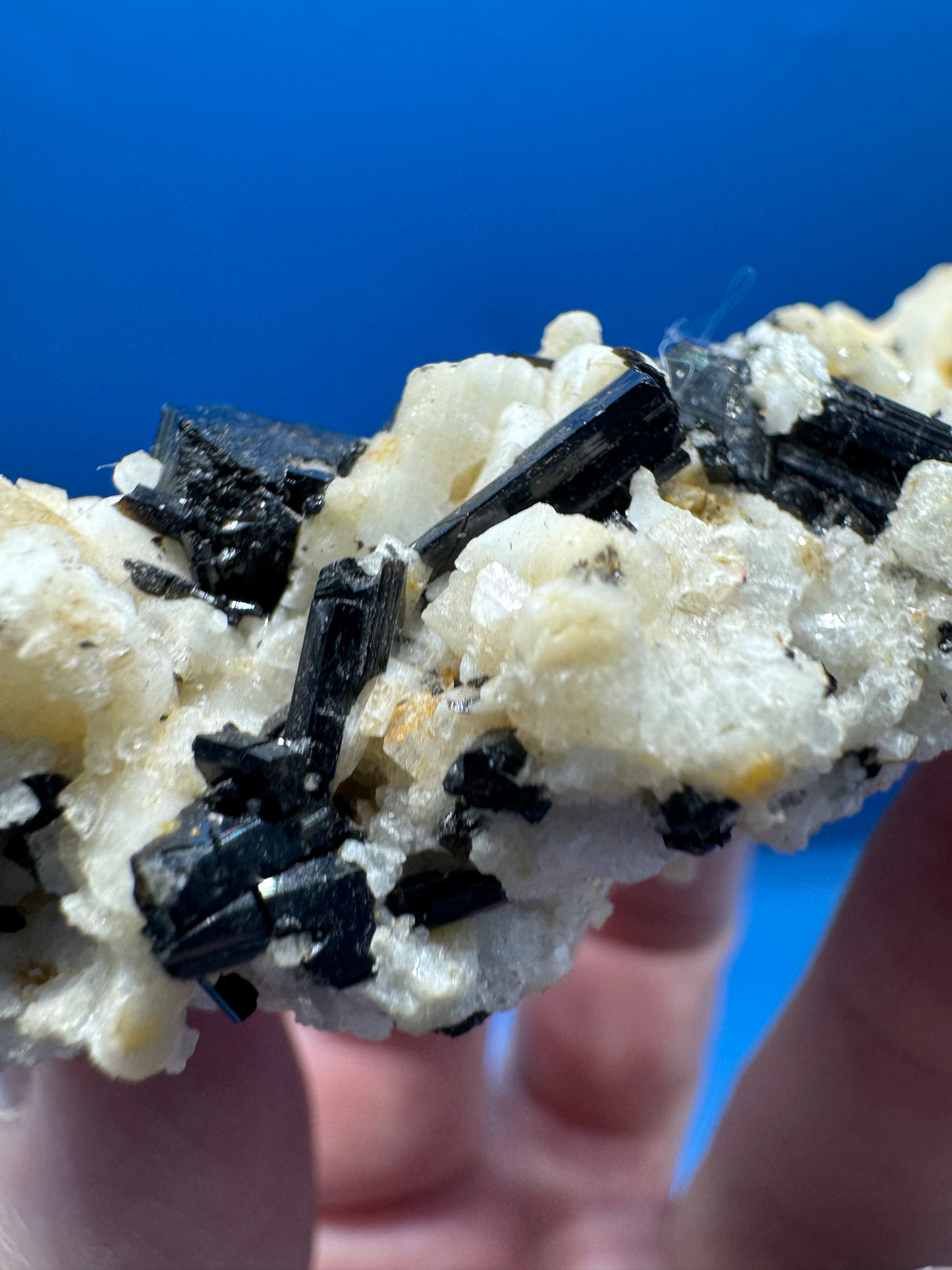 Black Tourmaline  - 64g