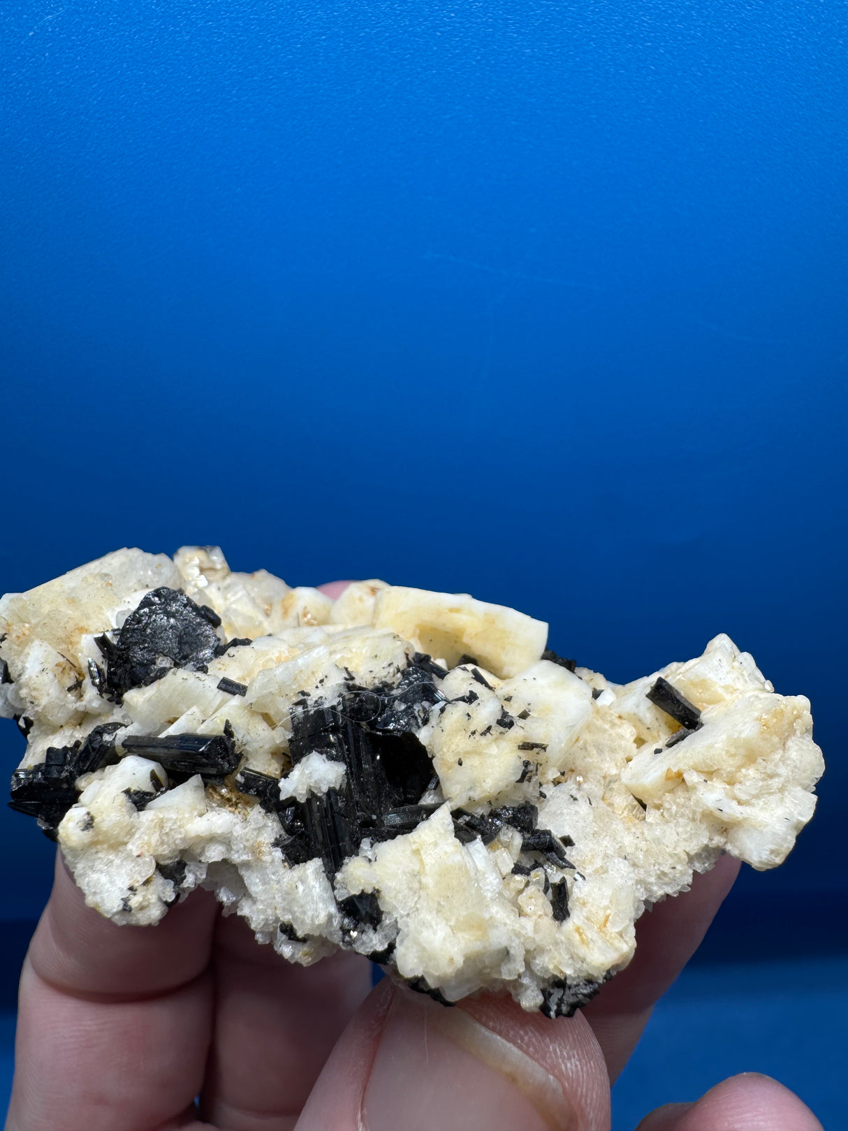 Black Tourmaline  - 64g