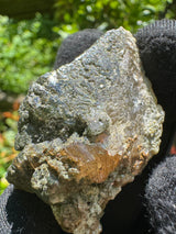 Quartz Specimen - 38g