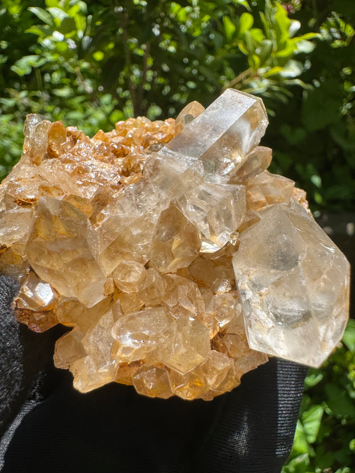 Quartz Crystal Specimen - 134g
