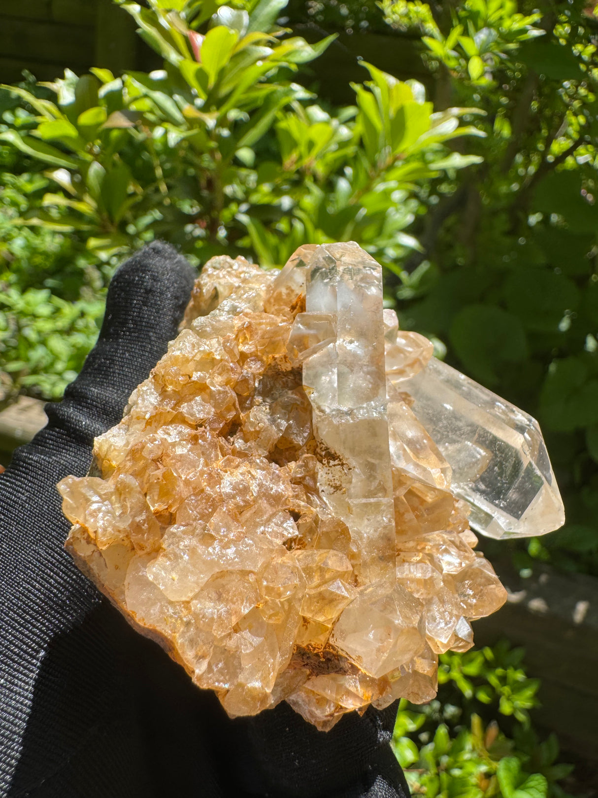 Quartz Crystal Specimen - 134g