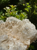 Quartz Crystal Specimen - 194g