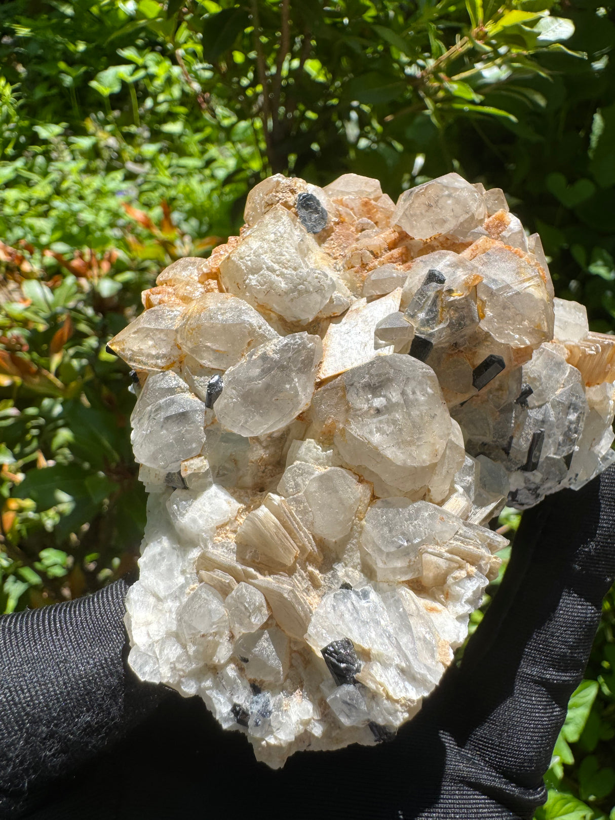 Black Tourmaline, Quartz Specimen - 351g