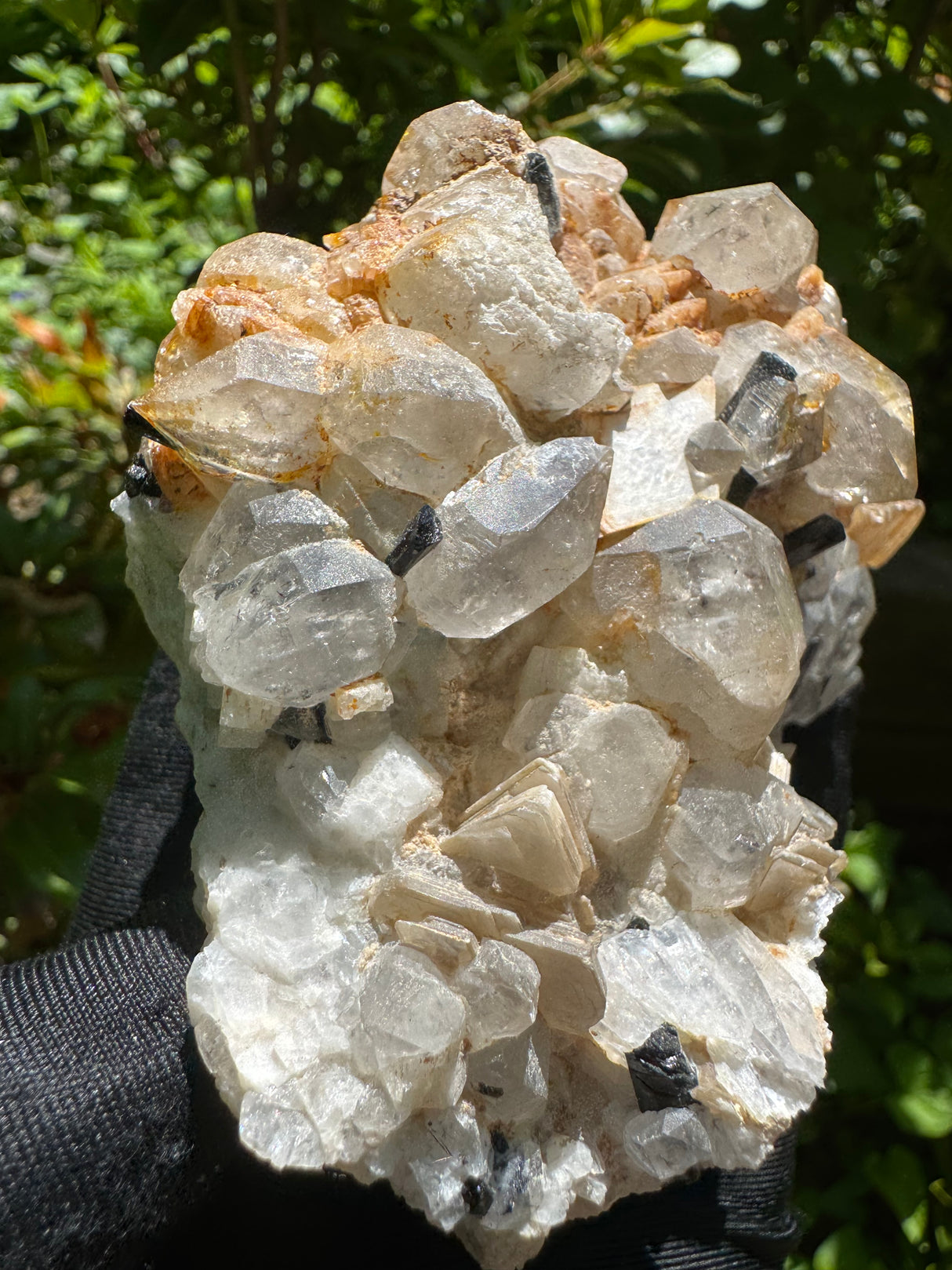 Black Tourmaline, Quartz Specimen - 351g