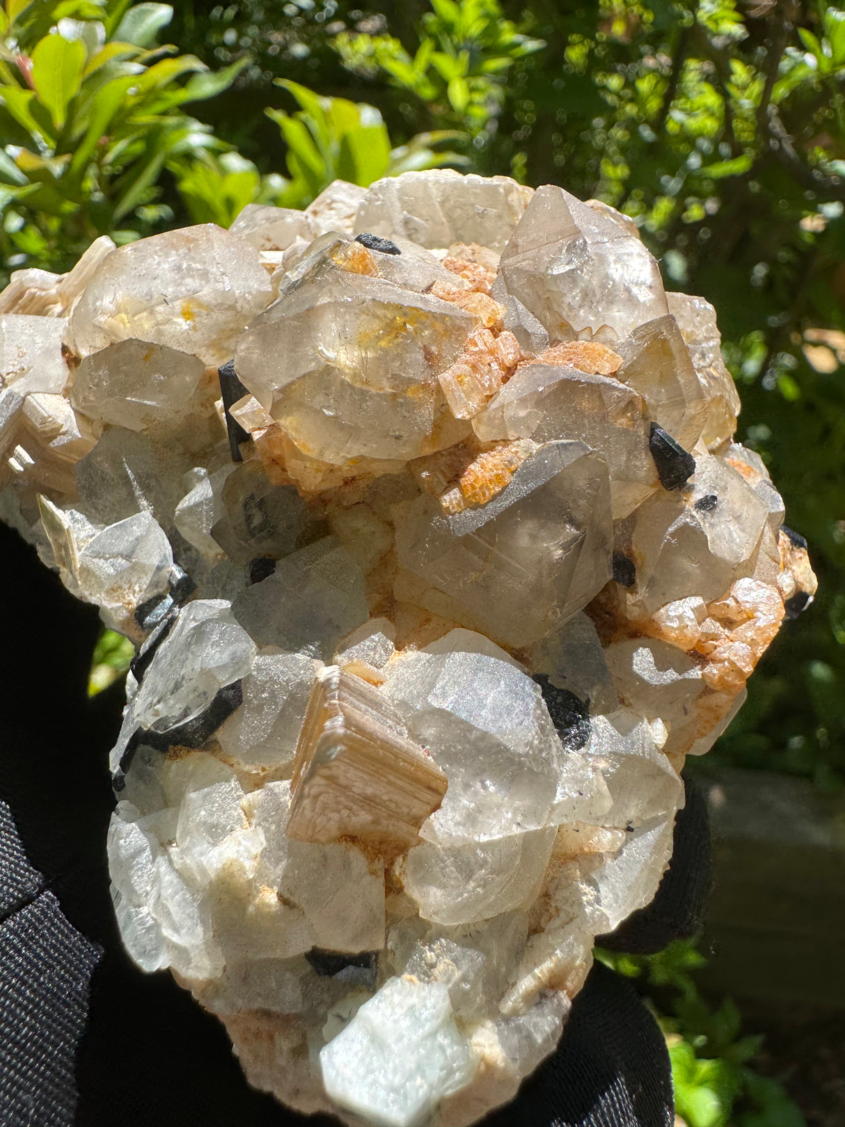 Black Tourmaline, Quartz Specimen - 351g