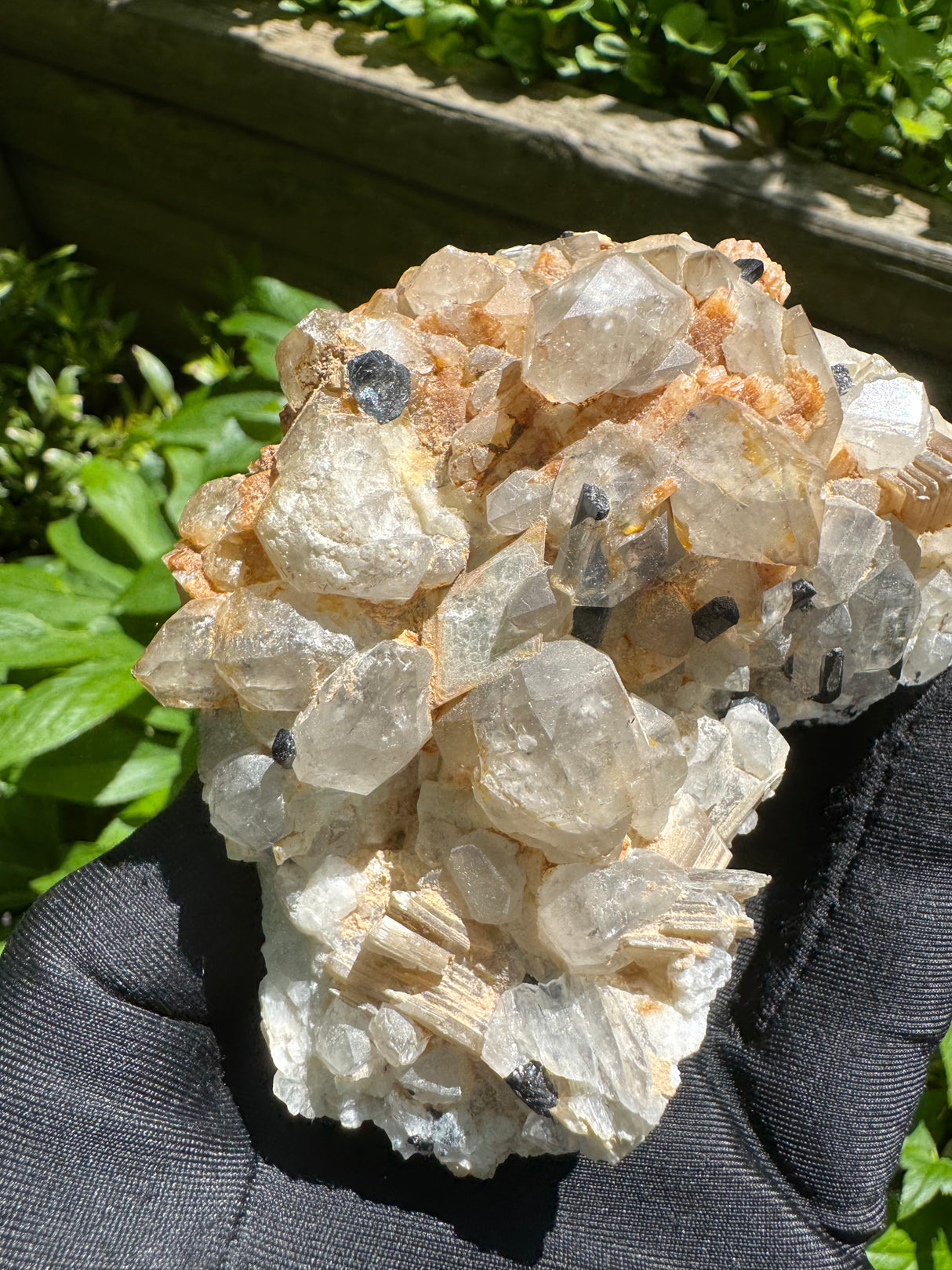 Black Tourmaline, Quartz Specimen - 351g
