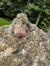 Pink Apatite Specimen - 424g