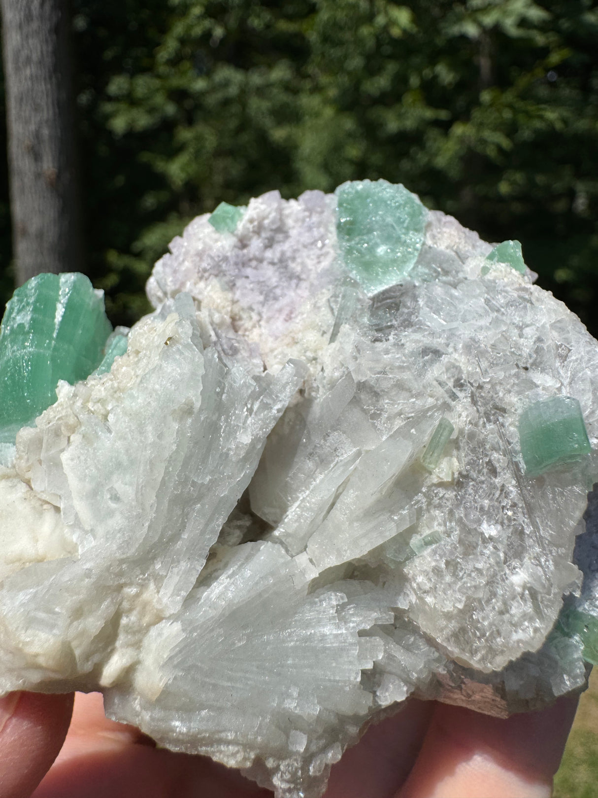 Tourmaline Specimen - 307g