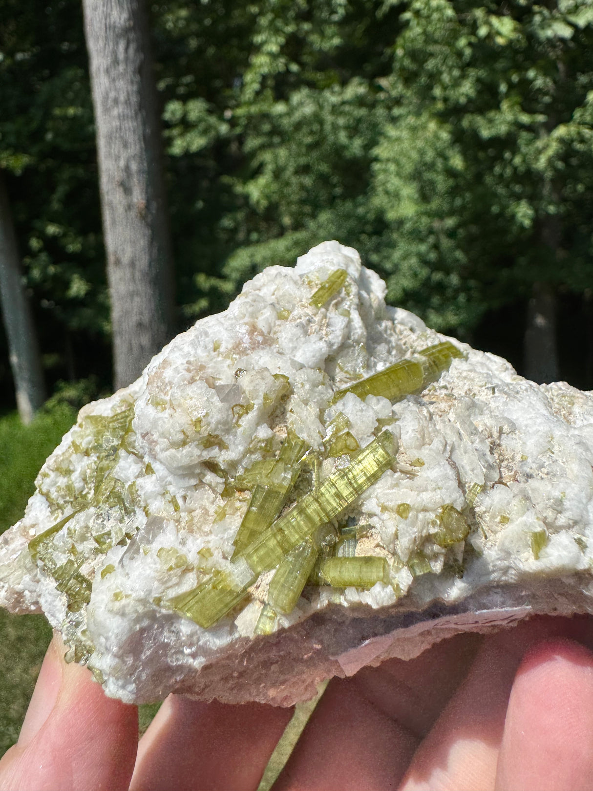 Tourmaline Specimen - 482g