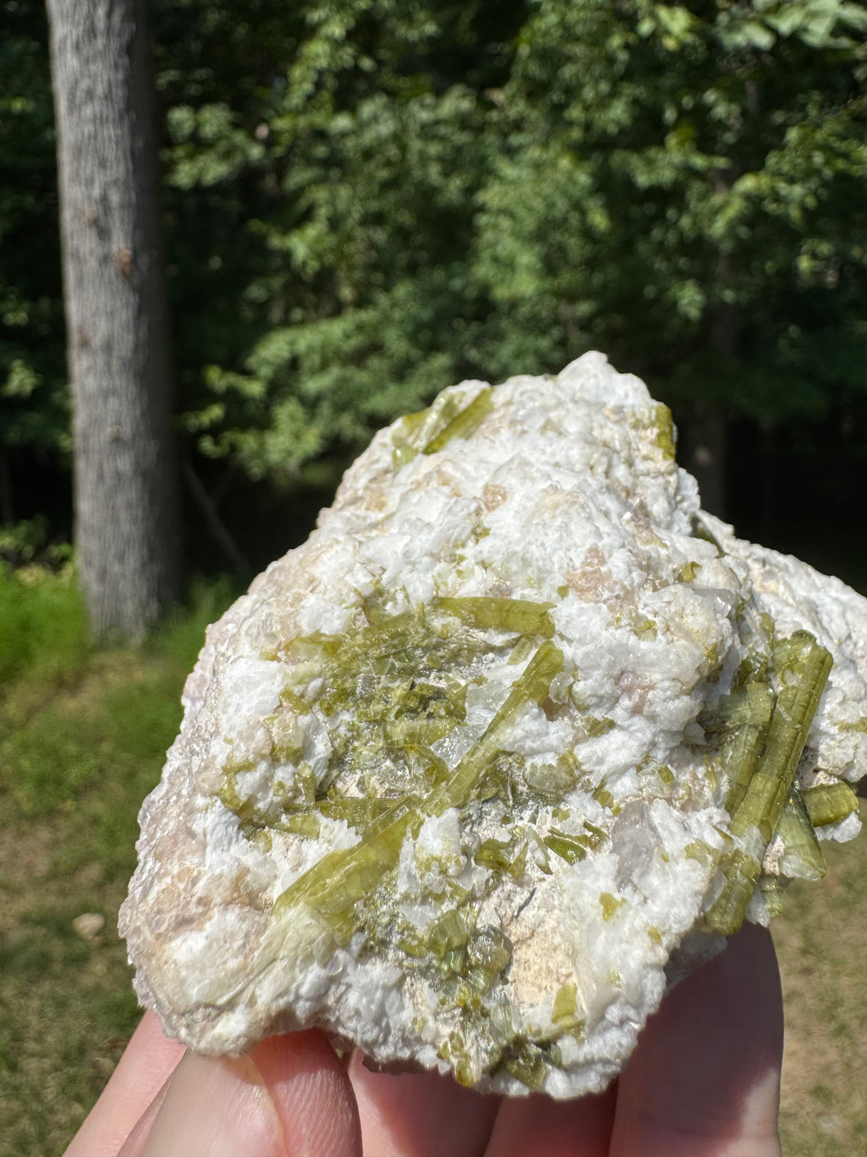 Tourmaline Specimen - 482g