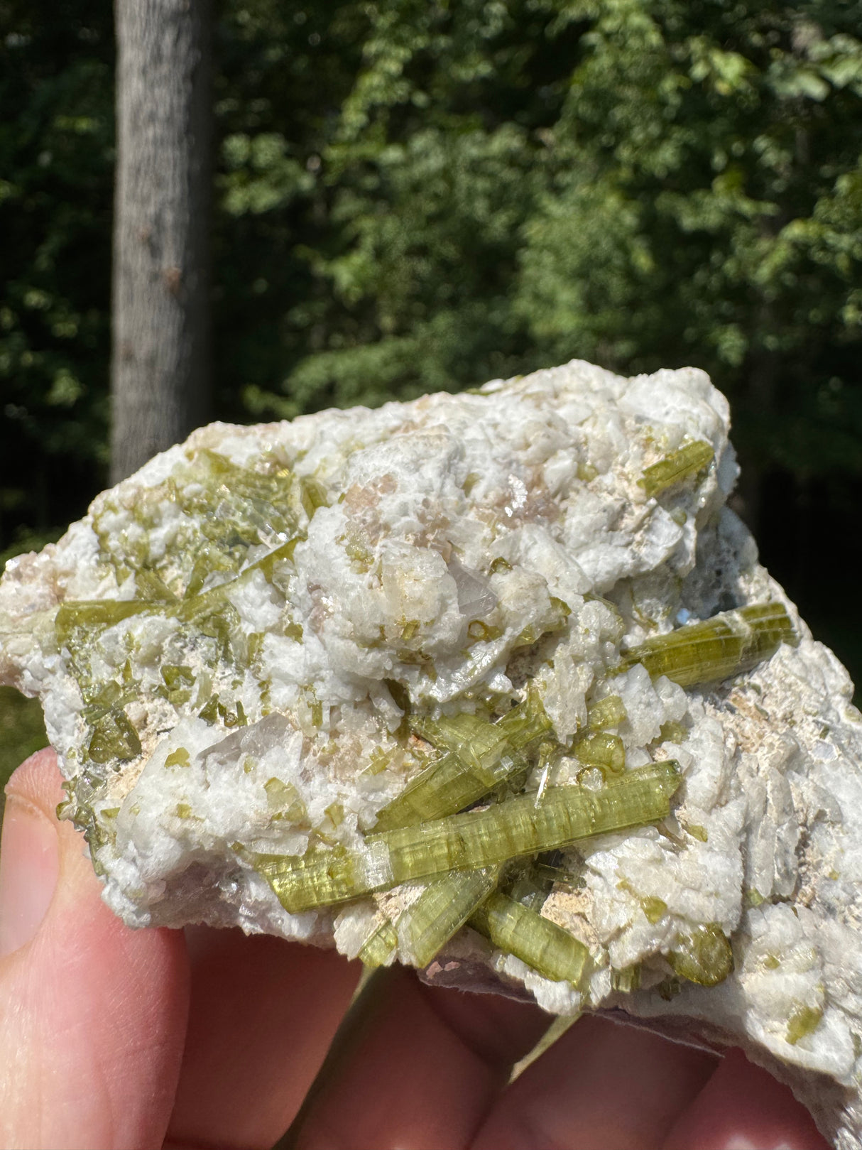 Tourmaline Specimen - 482g