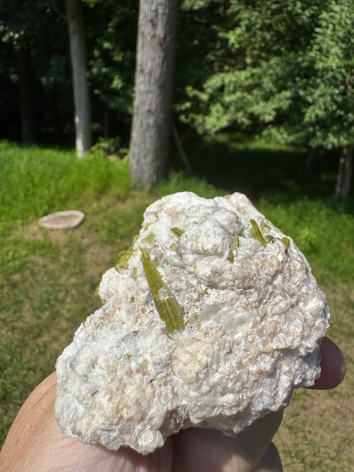 Tourmaline Specimen - 482g