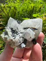 Tourmaline Specimen - 224g