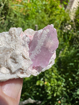 Kunzite Crystals - 47g