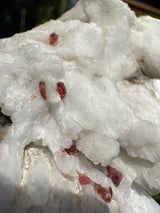 Garnet Specimen - 183g